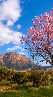 Montgo Jávea Denia