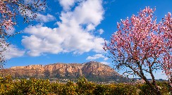 Natuur aan de voet van de berg Montgó Javea