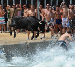 Toros al agua Javea